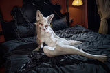 160cm/5ft3 E-Cup Realistic White Fox Furry Full Silicone Sex Doll Sorelle